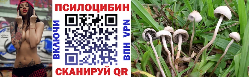 Псилоцибиновые грибы Psilocybine cubensis хочу Каспийск
